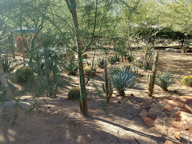 Cactus Ranch Trailer Court Manufactured and Mobile Homes: Affordable