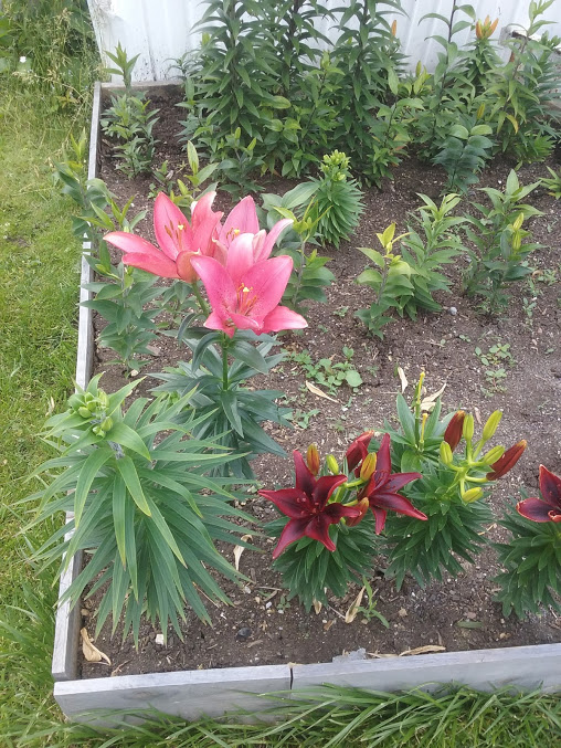 Camelot Estates Manufactured and Mobile Homes Affordable and Modern Housing