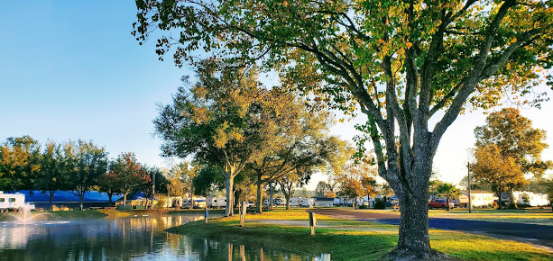 Escape To Sunshine And Southern Charm: Dixieland RV Park, Florida
