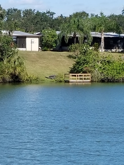 Floral Lakes Home Owners Association Manufactured and Mobile Homes