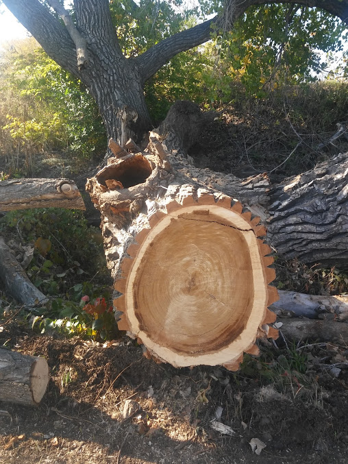 Franklin Mobile Home Park Manufactured and Mobile Homes Affordable