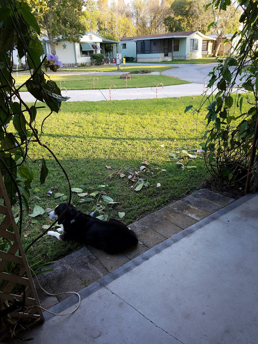 Heatherwood Village Manufactured and Mobile Homes Affordable and