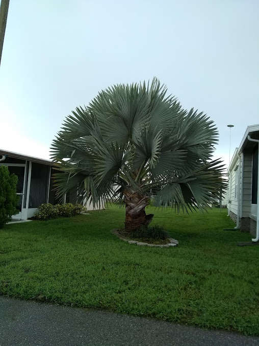 Heatherwood Village Manufactured and Mobile Homes Affordable and