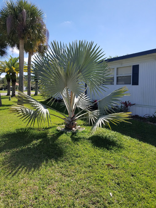Japanese Gardens Mobile Home Park Manufactured and Mobile Homes