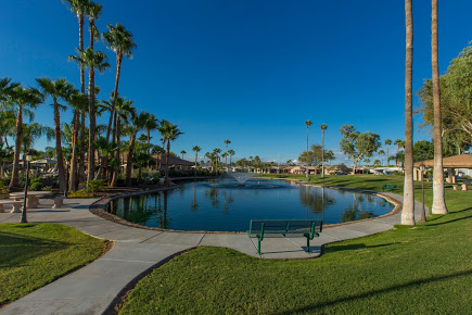Palmas Del Sol East Rentals