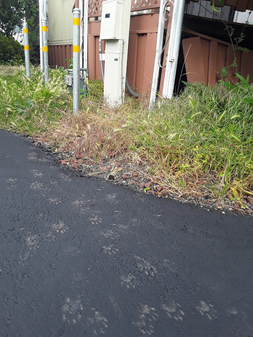 Palo Mobile Estates Manufactured and Mobile