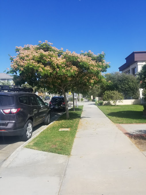 Seal Beach Shores Manufactured and Mobile Homes Affordable and