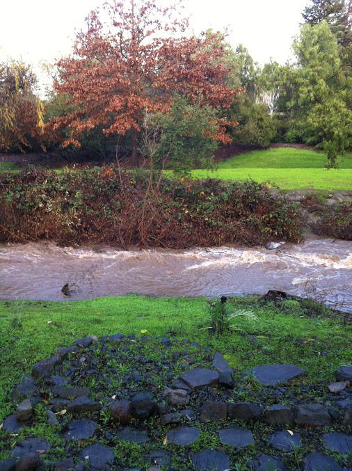 Seven Flags Of Sonoma Manufactured and Mobile Homes Affordable and